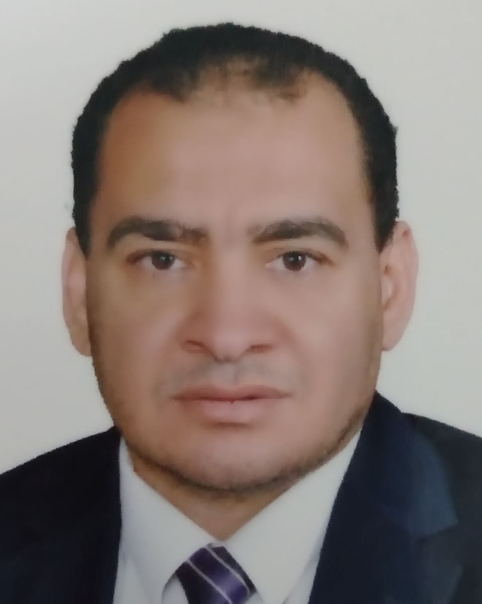 ربيع عبدالرؤف عامر